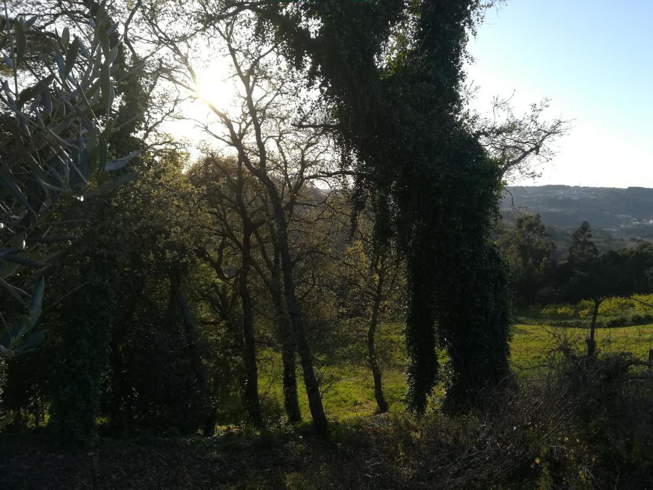 Quinta Vale Real Villa อัลโกบาซา ภายนอก รูปภาพ